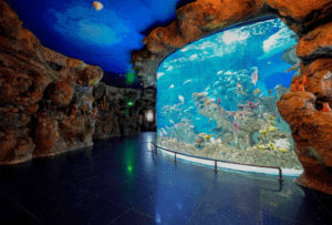 Fakieh Aquarium